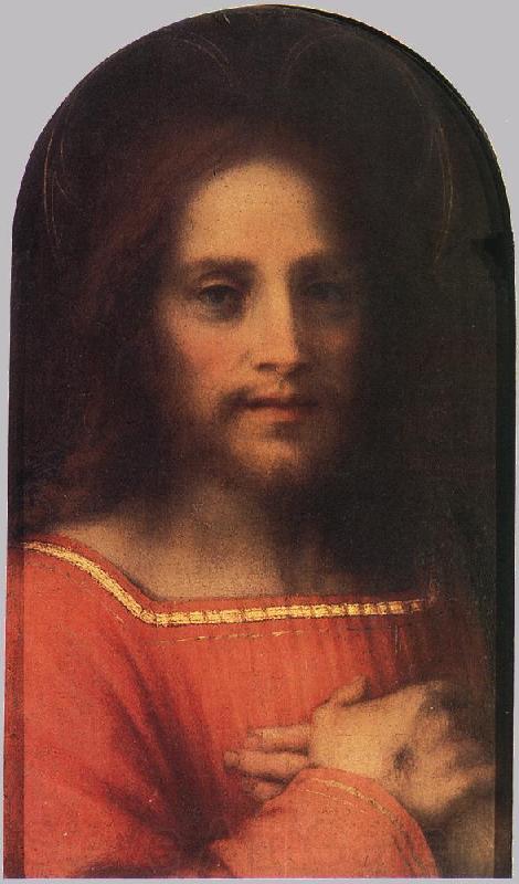 Andrea del Sarto Christ the Redeemer ff